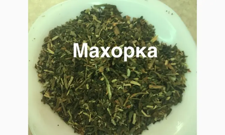 Махорка-Дешево-Самосад - фото № 1