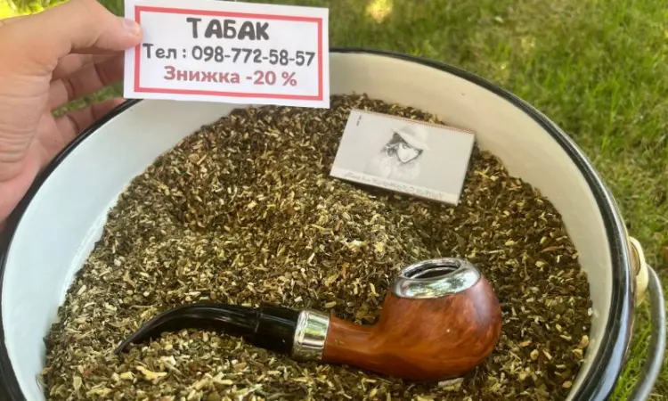 Махорка собственного производства: бережно выращенная - фото № 1