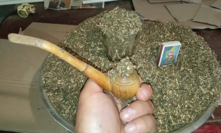 Табак самосад домашний давай сюда! махорка наша сельская - фото № 2