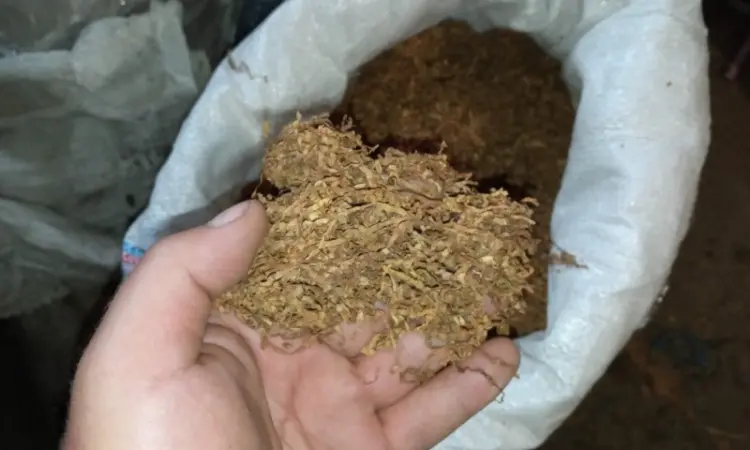 Домашний махорка - самосад а также табак хлопья и лапша порезка 2 сорта все домашнее - фото № 5