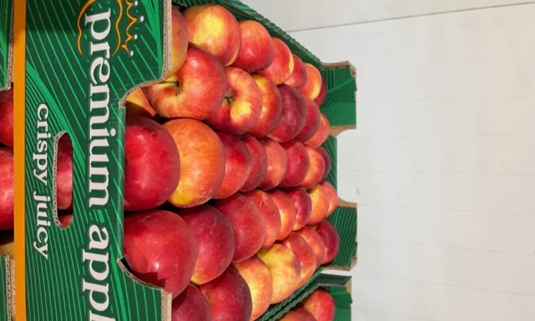 Продаются яблоки разных сортов - фото № 2