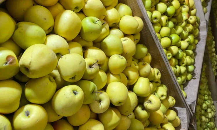Продаются яблоки разных сортов - фото № 3