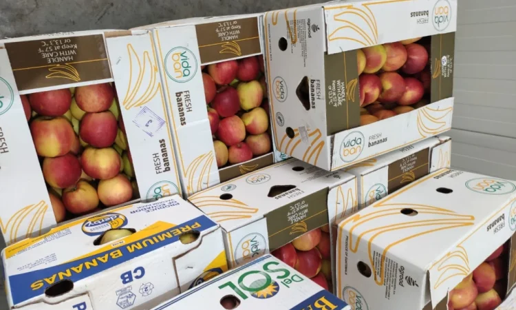 Продаются яблоки сортов Флоріна, Айдаред, Пінова, Чемпіон, Ліголь, Голден - фото № 7