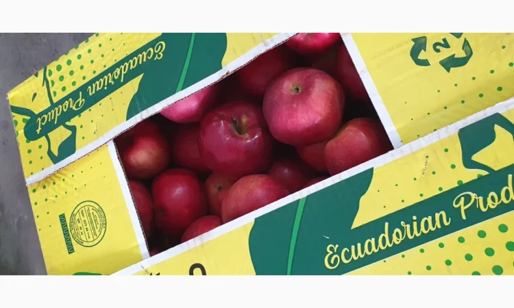 Яблука різних сортів у продажу - фото № 1