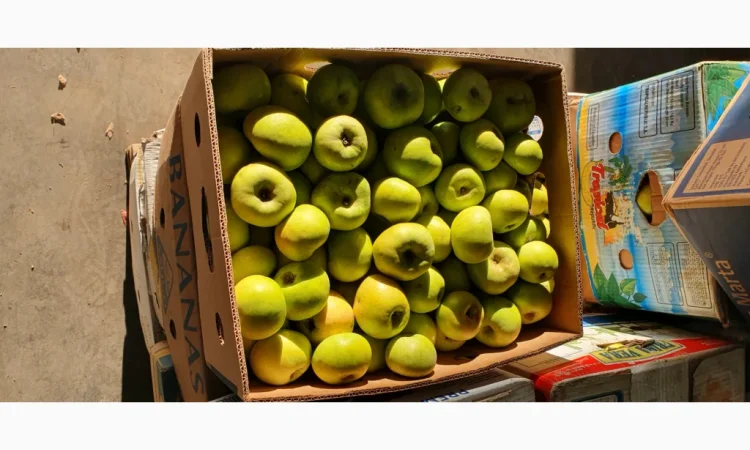 Яблука різних сортів у продажу - фото № 11