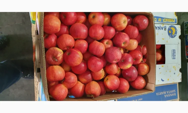 Яблука різних сортів у продажу - фото № 3