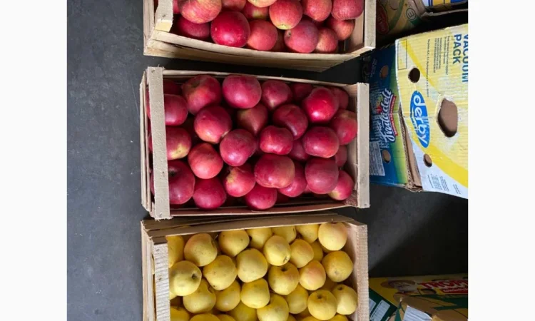 Яблука різних сортів у продажу - фото № 4