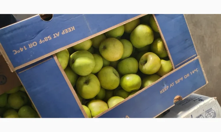 Яблука різних сортів у продажу - фото № 5