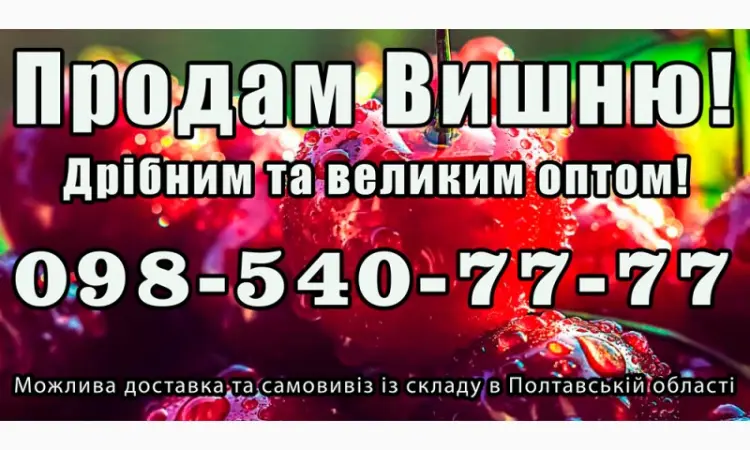 Реализую вишню - фото № 1