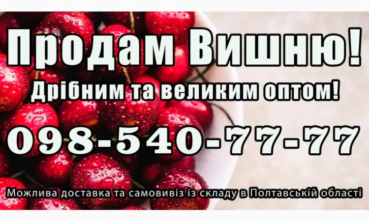 Продаю вишню 2025г. - фото № 1