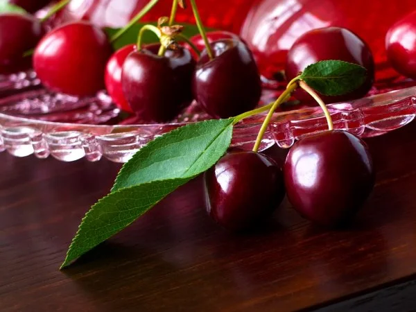 Підприємство здійснює заготовку вишні урожай 2025 року - фото № 1