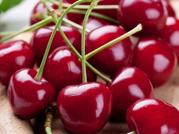 Закупляємо вишню!Високі ціни - фото № 1