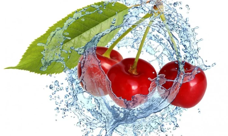 Підприємство постійно здійснює заготовку вишні урожай 2025 року - фото № 1