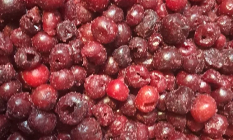 Продам вишню заморожену без кістки - фото № 1