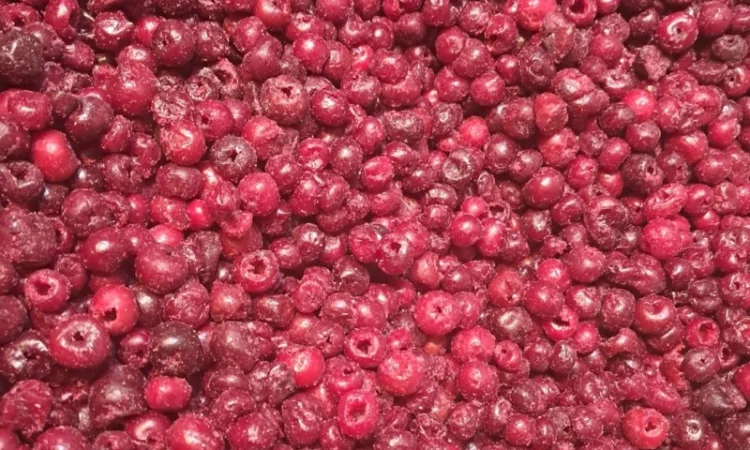 Продам вишню заморожену без кістки - фото № 2