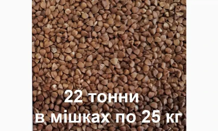 Гречана крупа - фото № 1