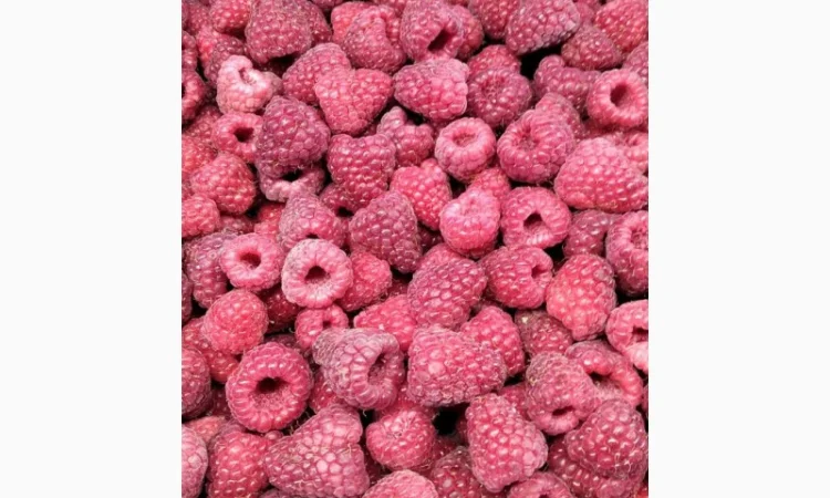 Закуповуємо малину оптом - фото № 1