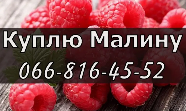 На постійній основі - фото № 1
