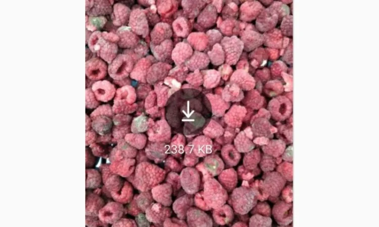 Продам заморожену малину оригінал - фото № 2