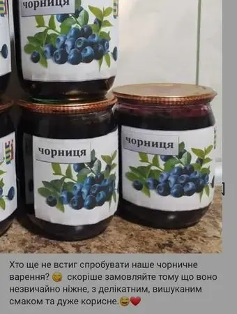 Сушеная черника - фото № 1