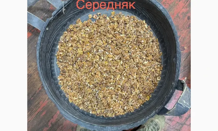 Продам ядро грецкого ореха 2 - фото № 3