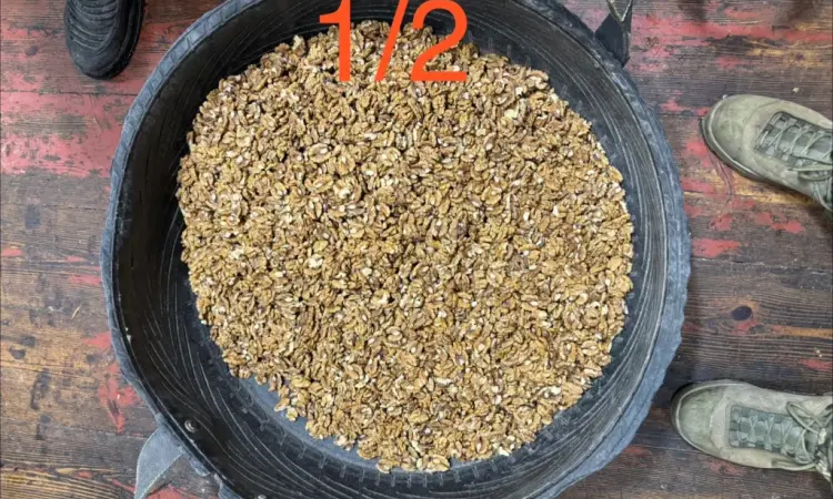 Продам ядро грецкого ореха 2 - фото № 5