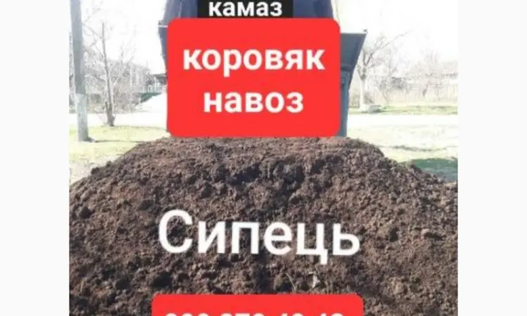 Доставляємо Чернозем Сипець Перегній - фото № 1