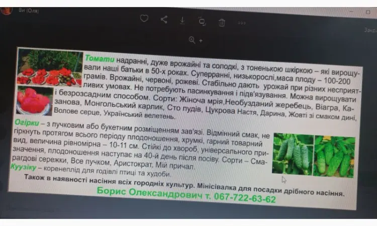 Семена овощных культур - фото № 1