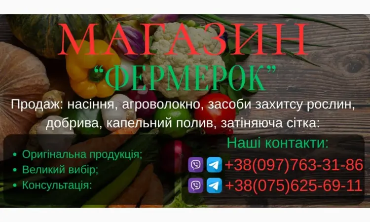 Продам семена овощей - фото № 1