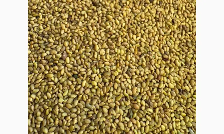 Продам насіння люцерни немагнічена та магнічена. Є об'єми - фото № 1
