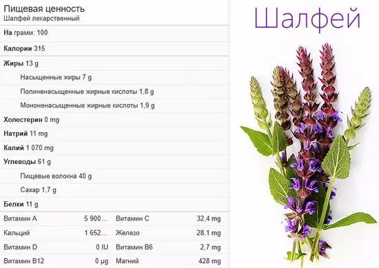 Шалфей лекарственный большой куст 99 грн дешево - фото № 6