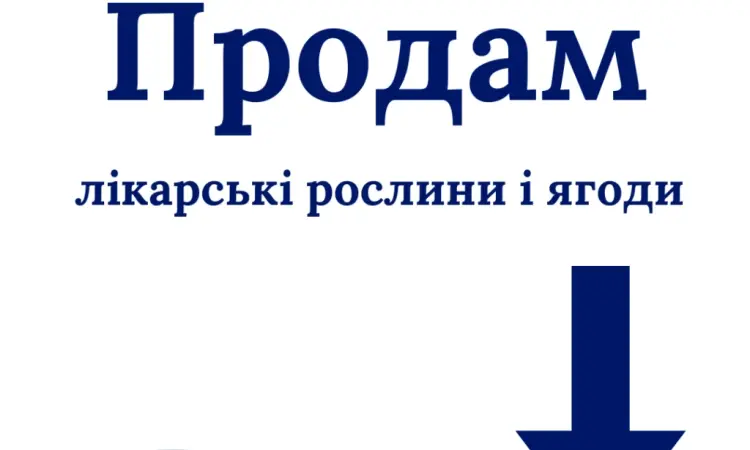 Продам лікарські РОСЛИНИ | ОПТ (лік трави і ягоди) - фото № 1