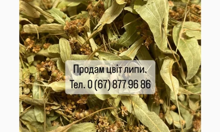 Продам цвіт липи. Ідеальний стан та зберігання - фото № 1