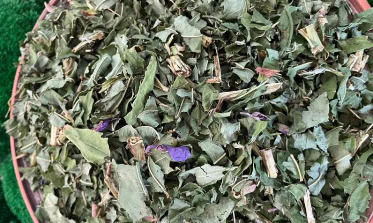 Сушений іван чай - фото № 2