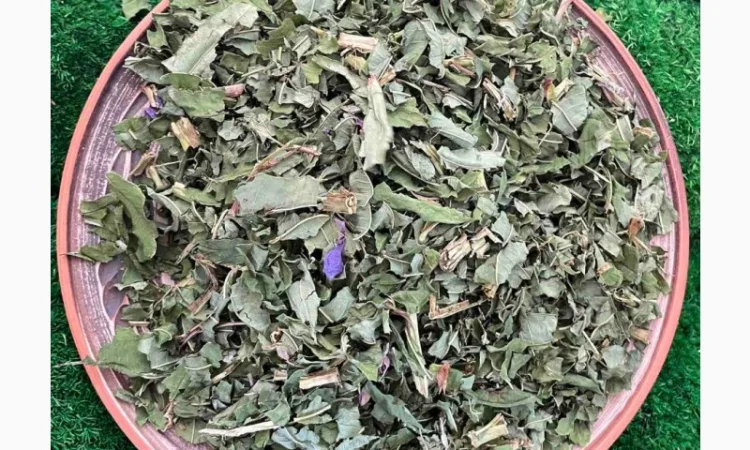 Сушений іван чай - фото № 3