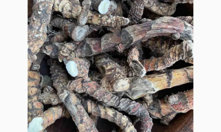 Аір - фото № 2