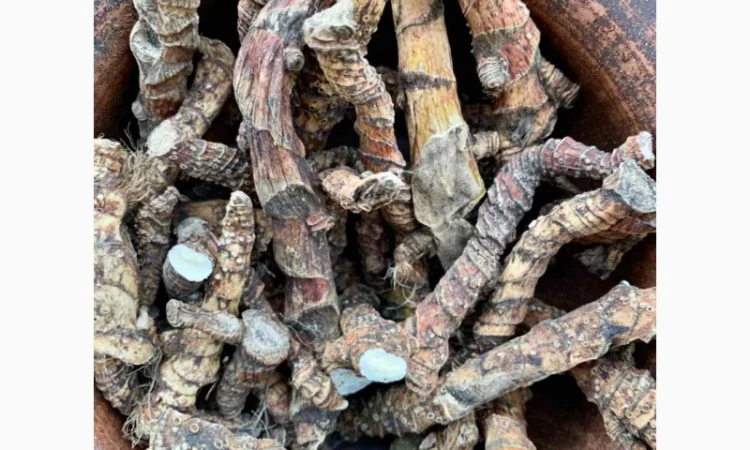 Аір - фото № 3