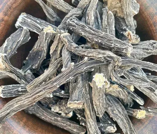 Лопух - фото № 1