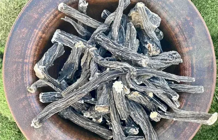 Лопух - фото № 2