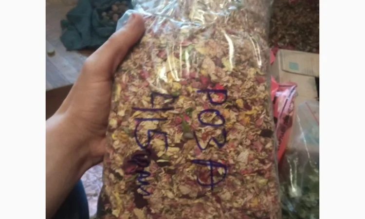 Лікарскі Рослини - фото № 19