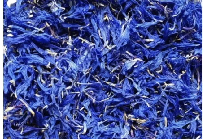 Куплю сушені пелюстки волошки - фото № 1