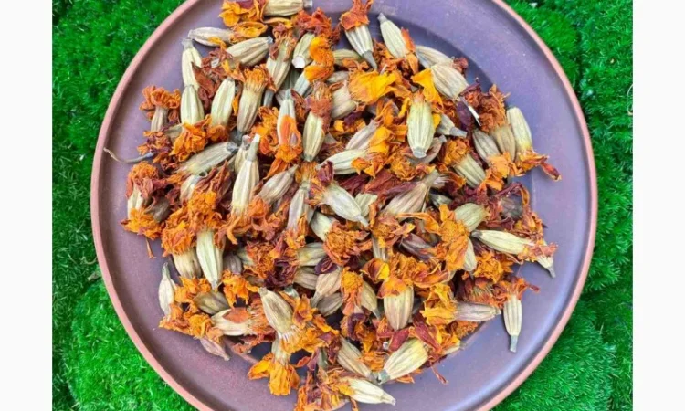 Сушені чорнобривці - фото № 1