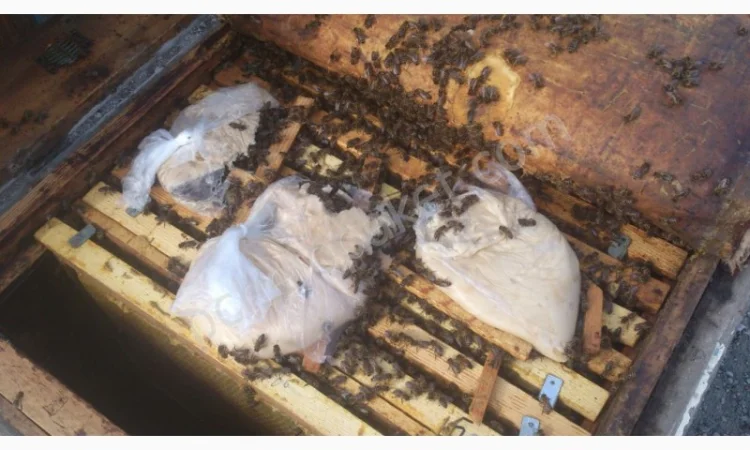 Сахарная пудра для пчёл. Канди для медовухи - фото № 2