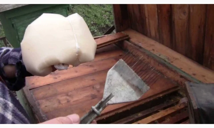 Сахарная пудра для пчёл. Канди для медовухи - фото № 1