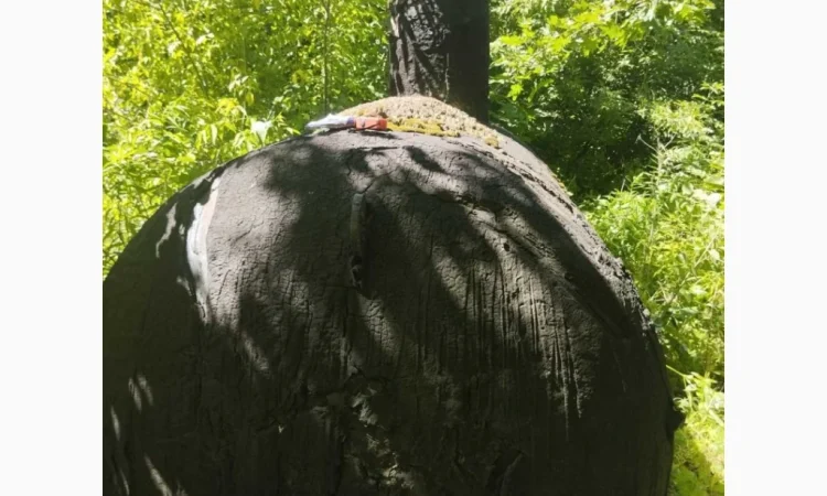 Газгольдер 5 кубів, 2 шт. – резервуари для зберігання - фото № 5