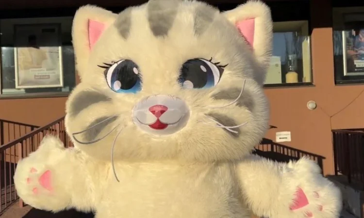 Надувной костюм аниматору кот 4 часа работы 2.4 м 60 Вт - фото № 5