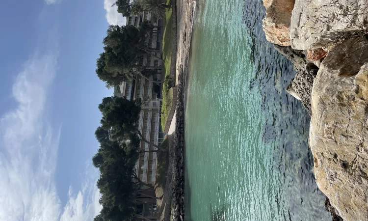 Тест тест - фото № 1