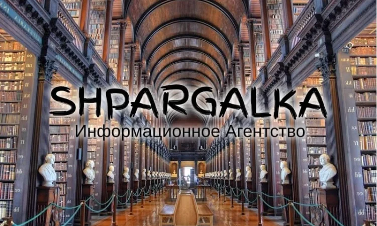 Раздел диссертации на заказ в Украине - фото № 1
