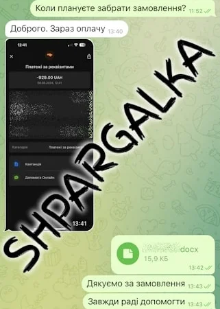 Разработка стартапа для бакалаврской работы на заказ - фото № 4