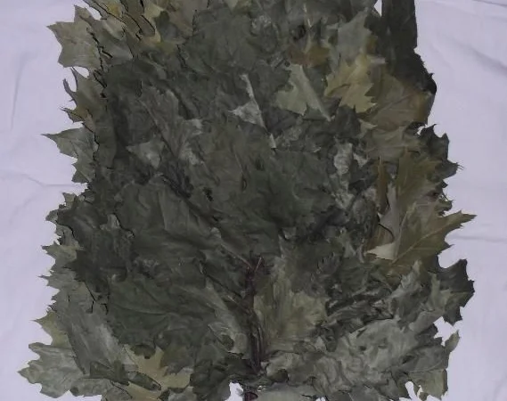 Качественные банные веники в ассортименте - фото № 1